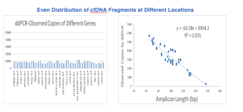 Even Distribution of cfDNA Fragments at Different Locations